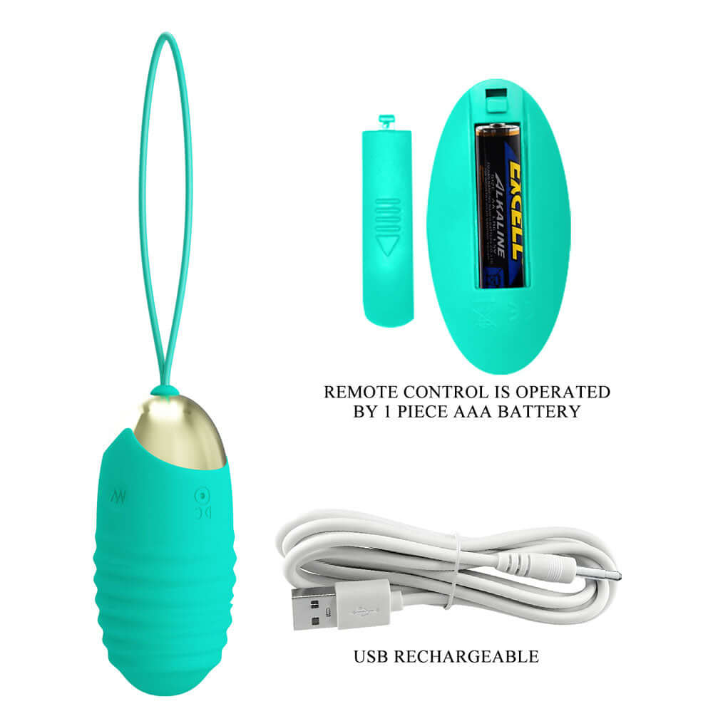 Party Up IAN Remote Egg - Teal - Teal USB Rechargeable Vibrating Egg with Wireless Remote