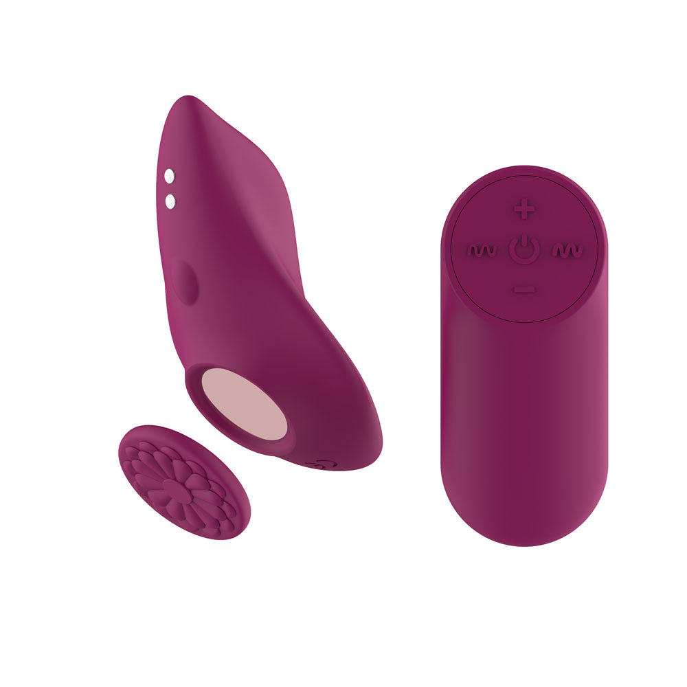 Passion Play Magnet Panty Vibe with Remote - Purple USB Rechargeable Panty Vibrator with Wireless Remote Control