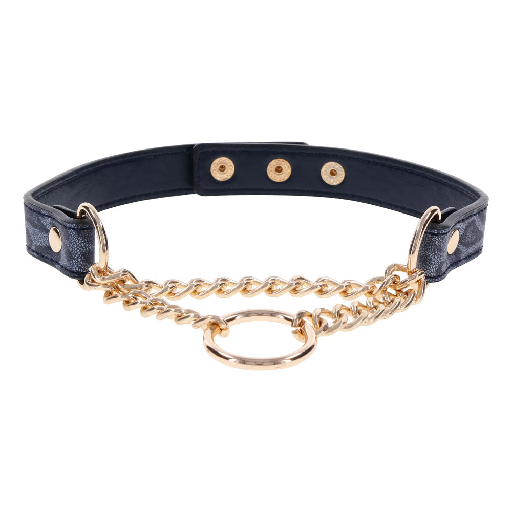 Sex & Mischief Cougar Day Collar - Navy Blue/Gold Collar