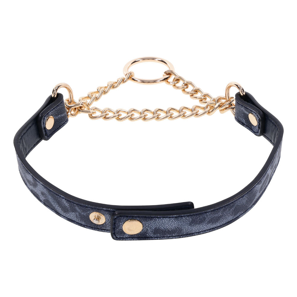 Sex & Mischief Cougar Day Collar - Navy Blue/Gold Collar