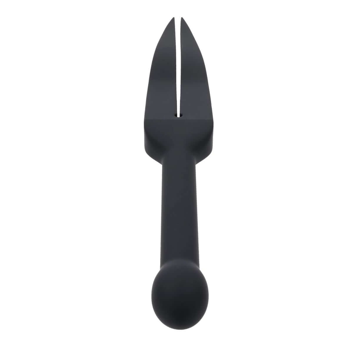 EDGE Silicone Tawse - Black Silicone Tawse Whip with Insertable Handle