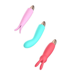 Adam & Eve PLAYFUL SEDUCTION KIT - USB Rechargeable Vibrator with 3 Interchangeable Sleeves