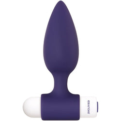 Evolved Dynamic Duo - Navy Blue Silicone Butt Plugs with USB Rechargeable Bullet