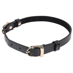 Sex & Mischief Double Buckle Day Collar