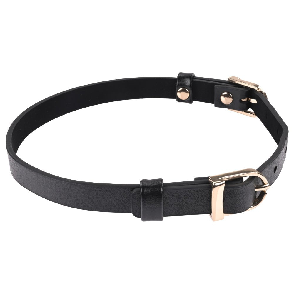 Sex & Mischief Double Buckle Day Collar