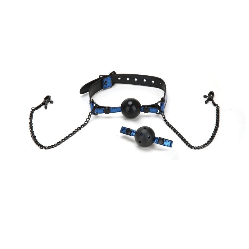 WhipSmart Diamond Ball Gag & Nipple Clips - Restraint